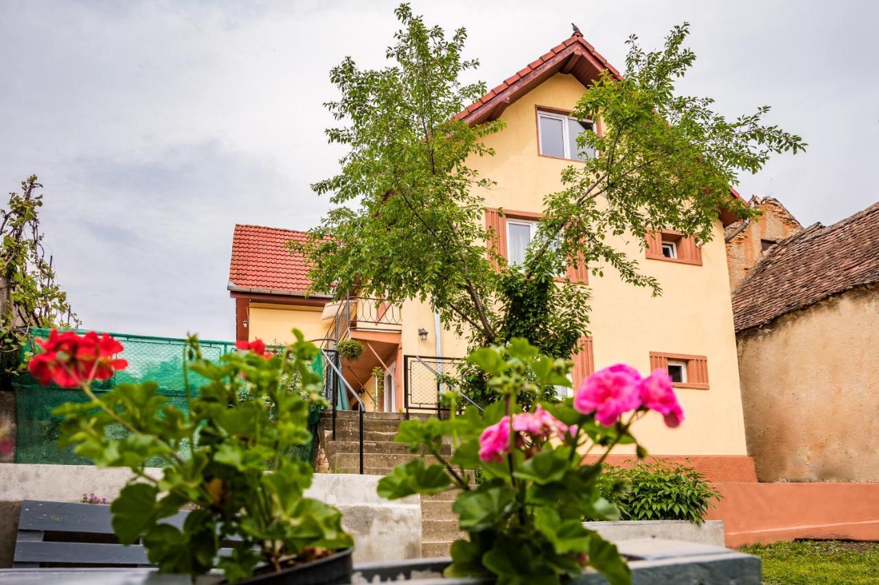 Gabi'S Home #2 Sighisoara Exterior photo